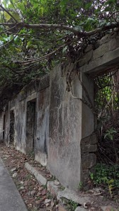 Home of early Yung Shue Ha settlers (~early 1800s). On the North and Eastern parts of Lamma island there's apparently evidence of habitation as far back as 3000-4000 years ago! 